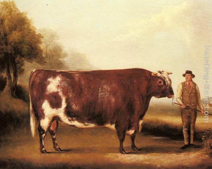 William Davis A Dark Roan Bull